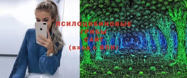 сатива Волоколамск