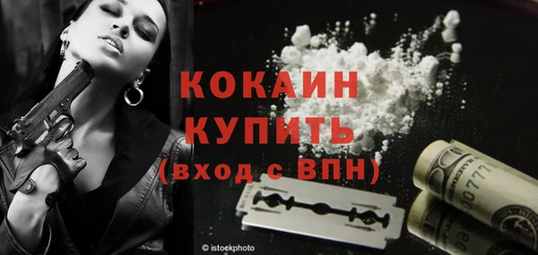 гашик Волосово