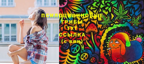 2c-b Верея