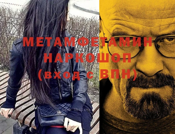 сатива Волоколамск