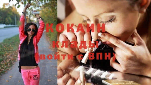 сатива Волоколамск