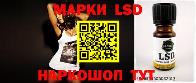 прущие грибы Будённовск