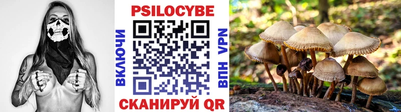 Галлюциногенные грибы Psilocybe Зеленодольск
