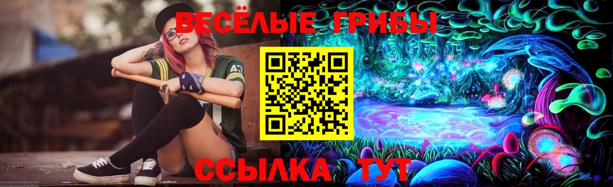 Зеленодольск  Псилоцибиновые грибы мухоморы  Вход с VPN 