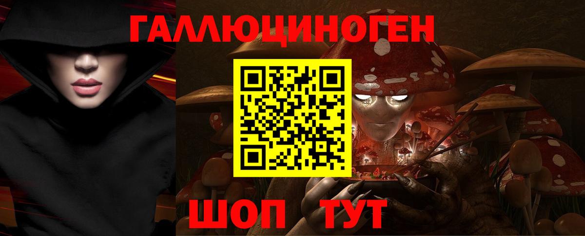 Галлюциногенные грибы Psilocybine cubensis Зеленодольск