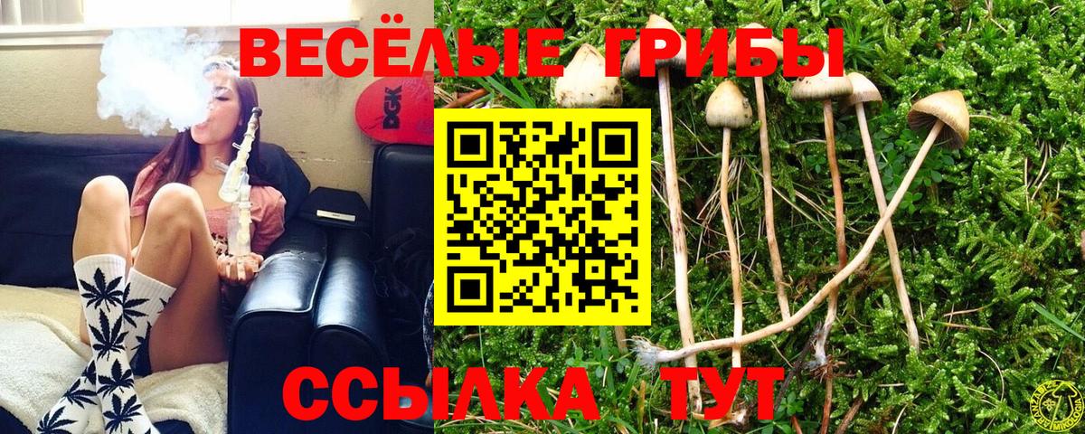 Псилоцибиновые грибы Cubensis Зеленодольск